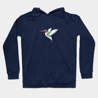 Hummingbird Hoodie